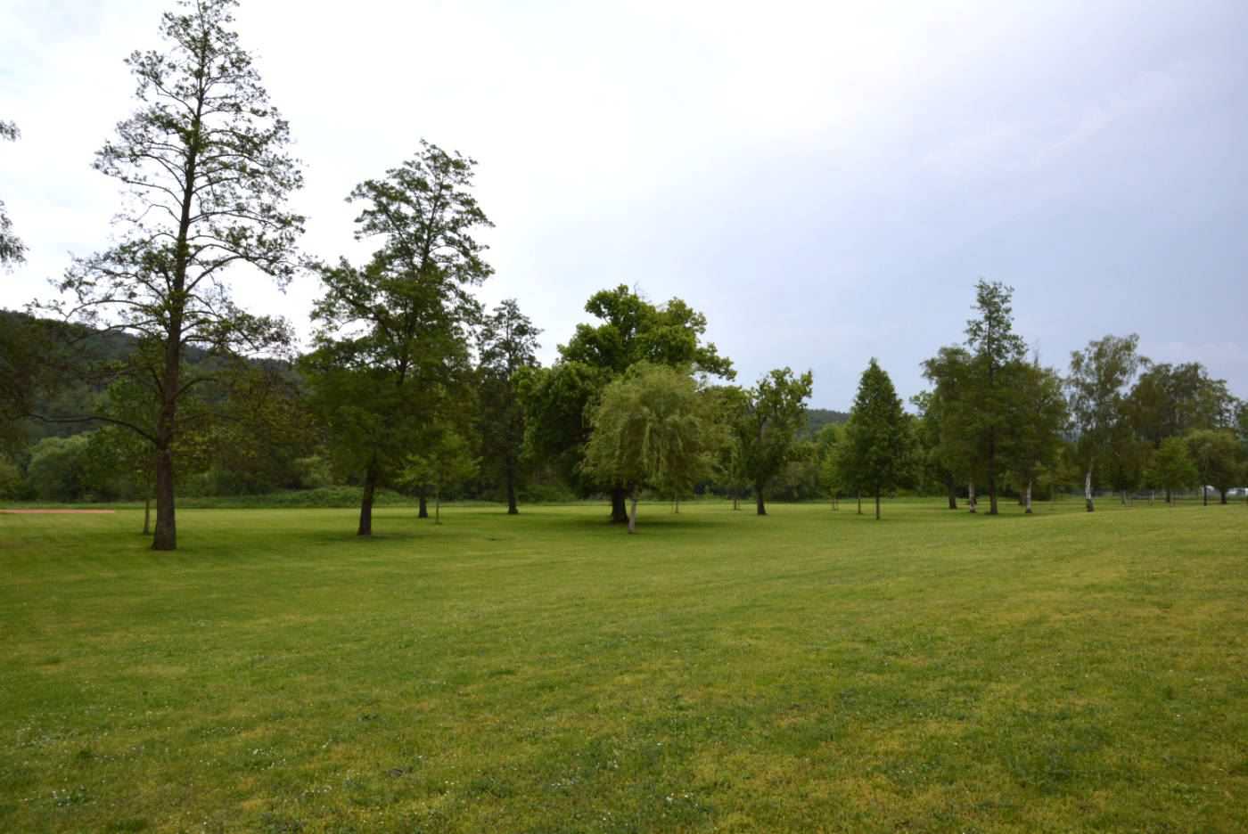 Liegewiese Blick Richtung Campingplatz